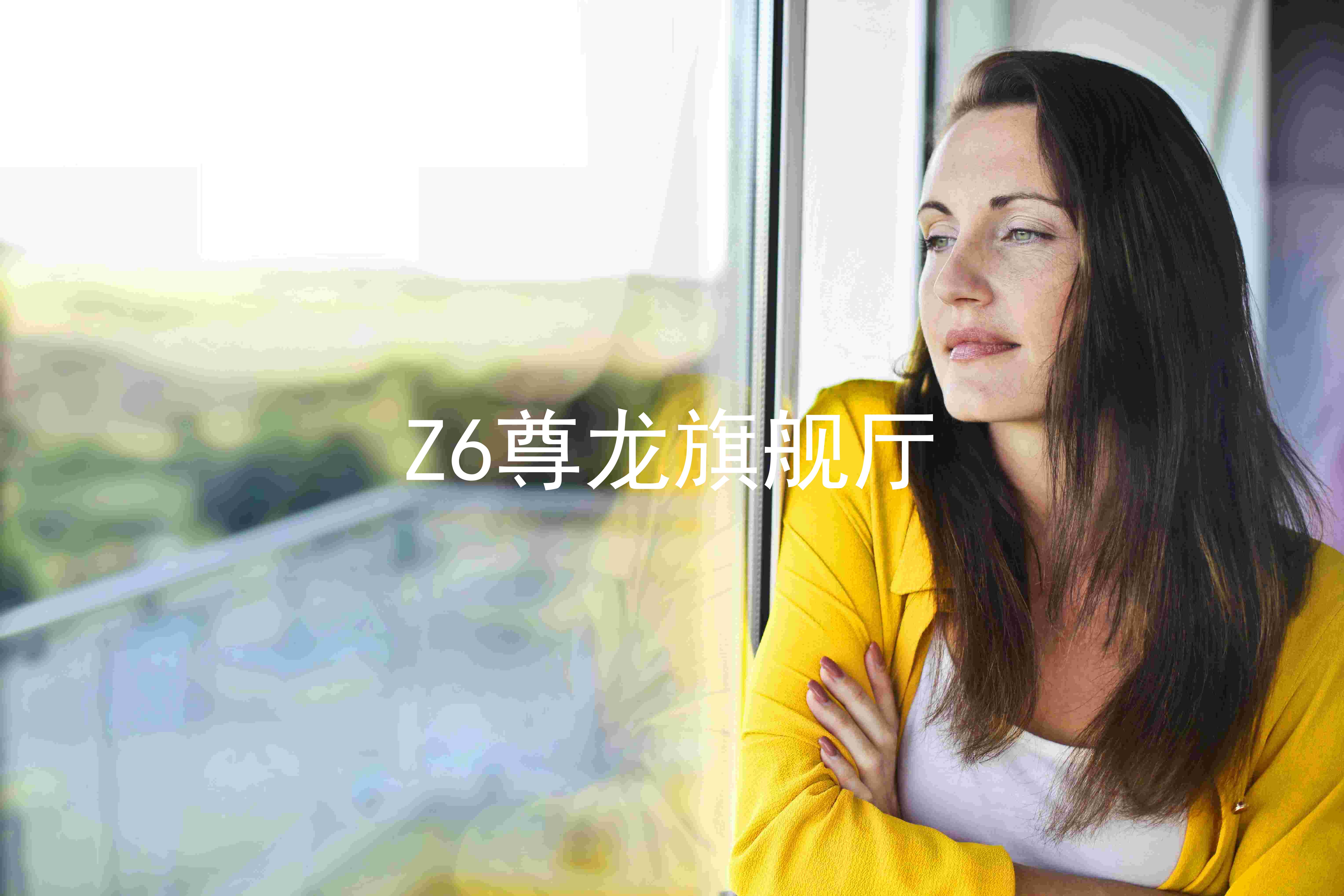Z6尊龙旗舰厅