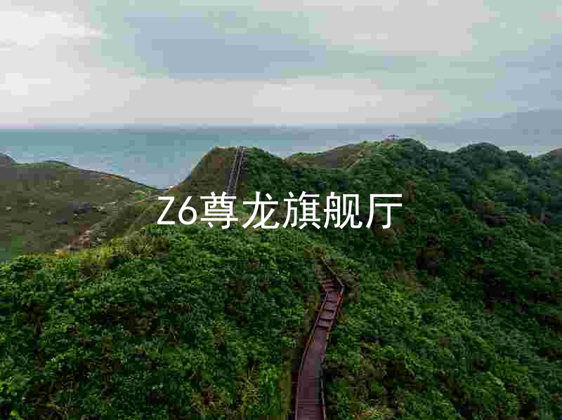 Z6尊龙旗舰厅