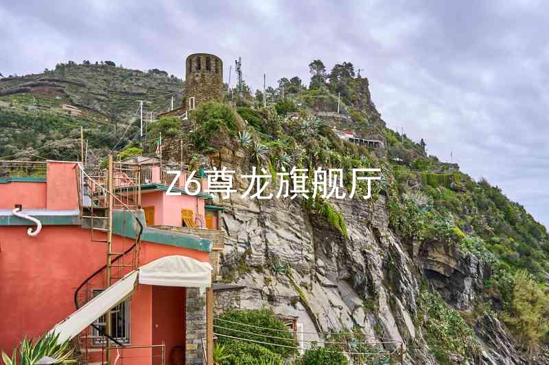 Z6尊龙旗舰厅