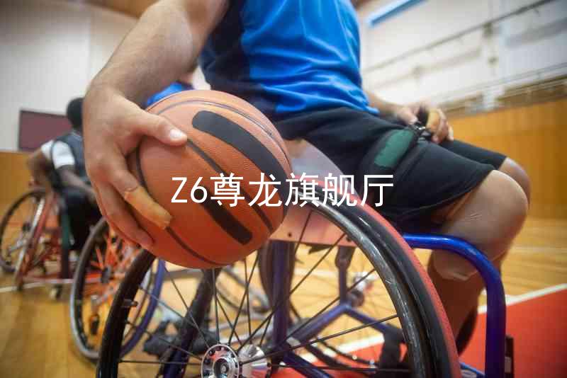 Z6尊龙旗舰厅