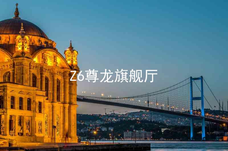 Z6尊龙旗舰厅
